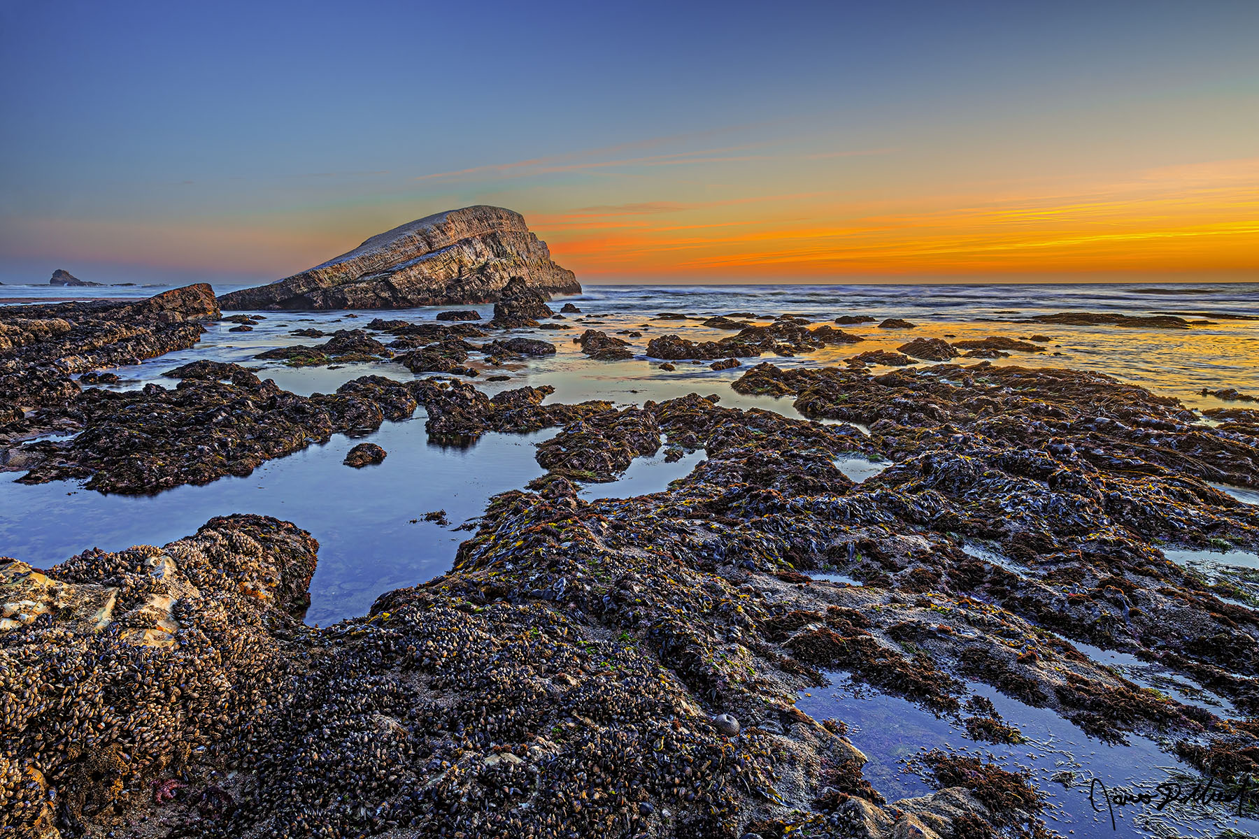 Tides of Change - Tide Pools, Greyhound Rock and the Pacific Ocean at Sunset, Davenport, California A negative tide at low tide in the Pacific Ocean at sunset exposes tide pools and mussels around Greyhound Rock along the Pacific Coast of California.