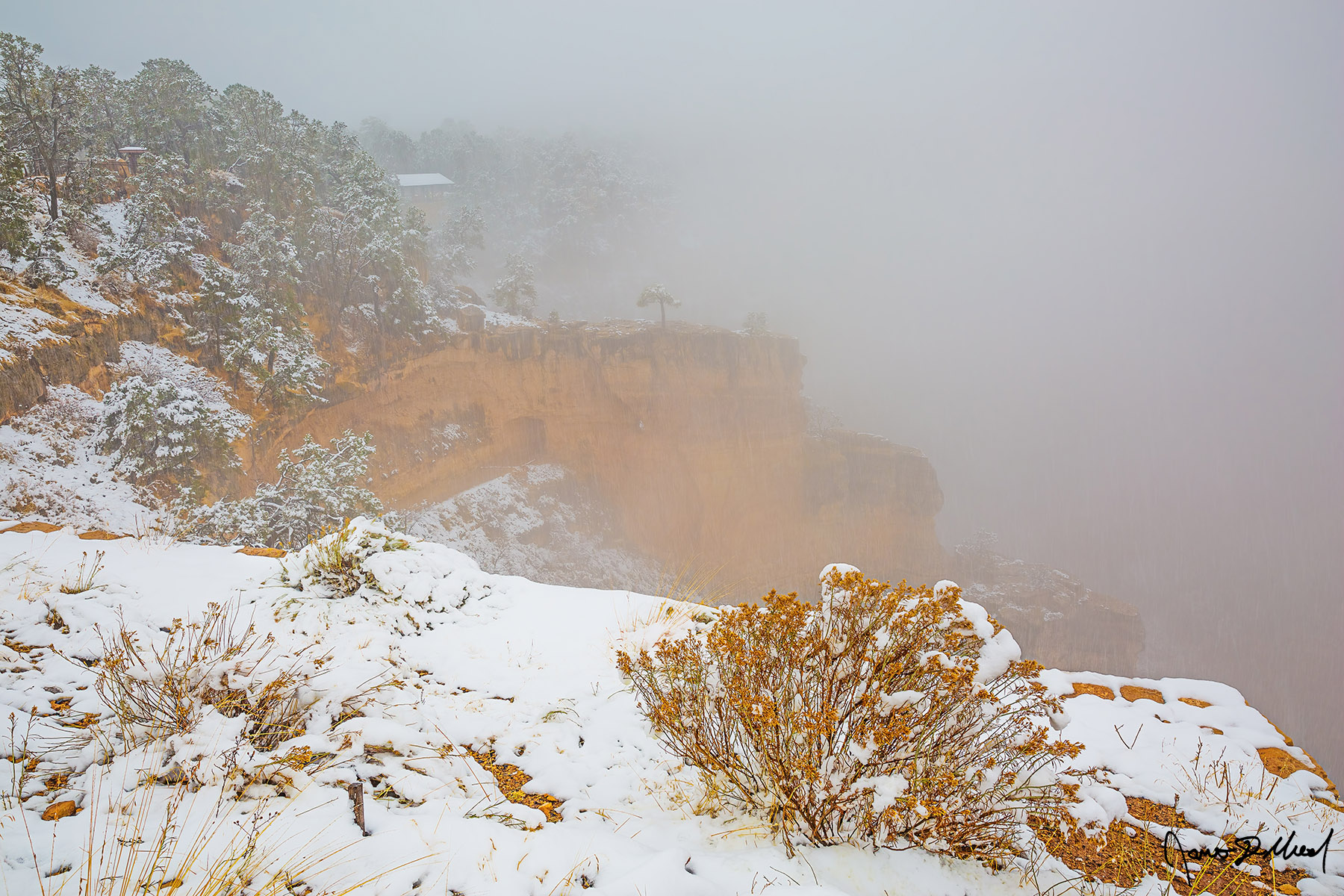 Winter's Curtain - Temperature Inversion Snowstorm Obscures the Bright Angel Trail and Grand Canyon Snow lines the top of the Grand Canyon during a winter storm as a temperature inversion begins to fill the canyon below.