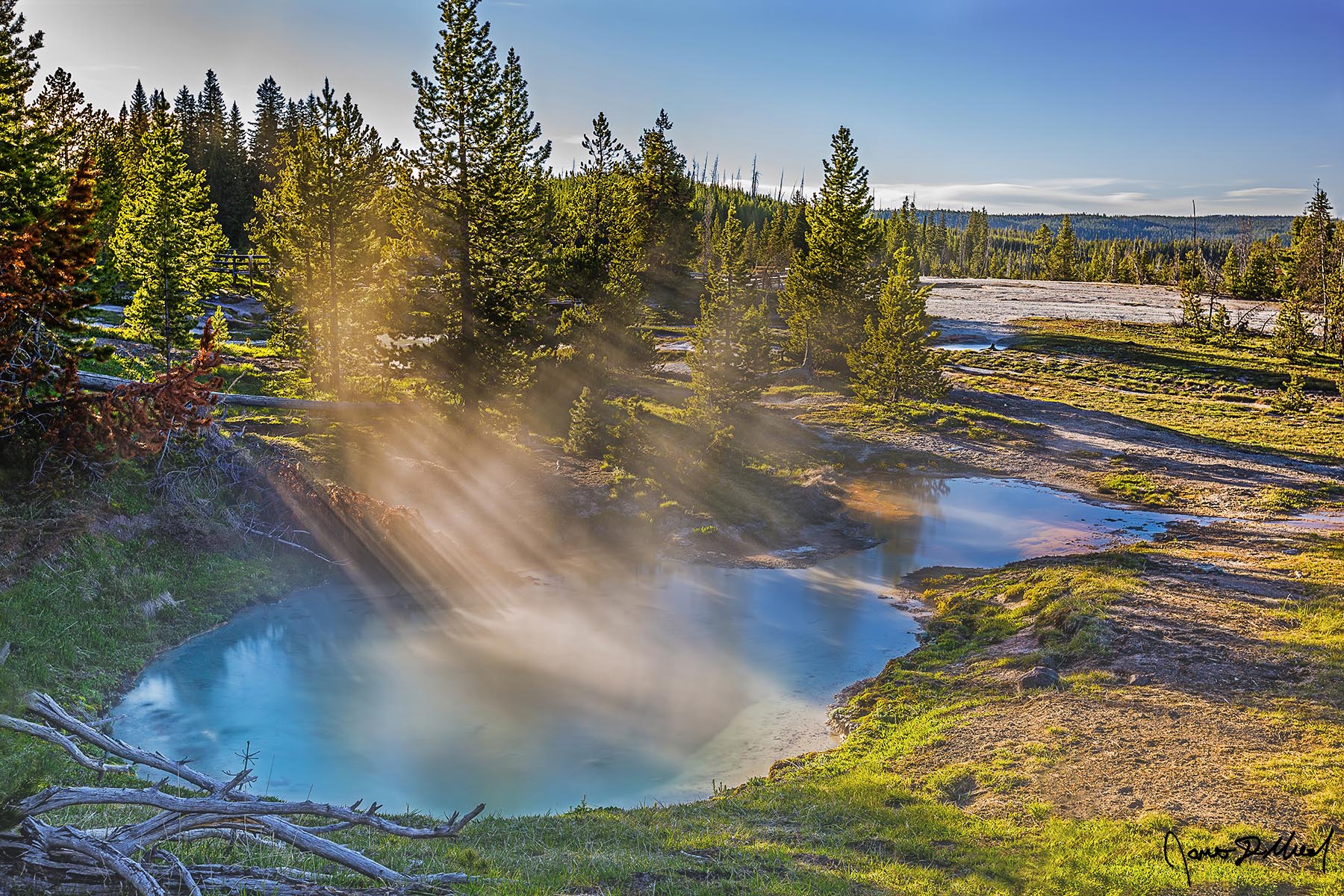 Beams Sunlight beams filter through the trees, steam and mist and onto the clear turquoise waters of Seismograph Pool and Bluebell Pool below.