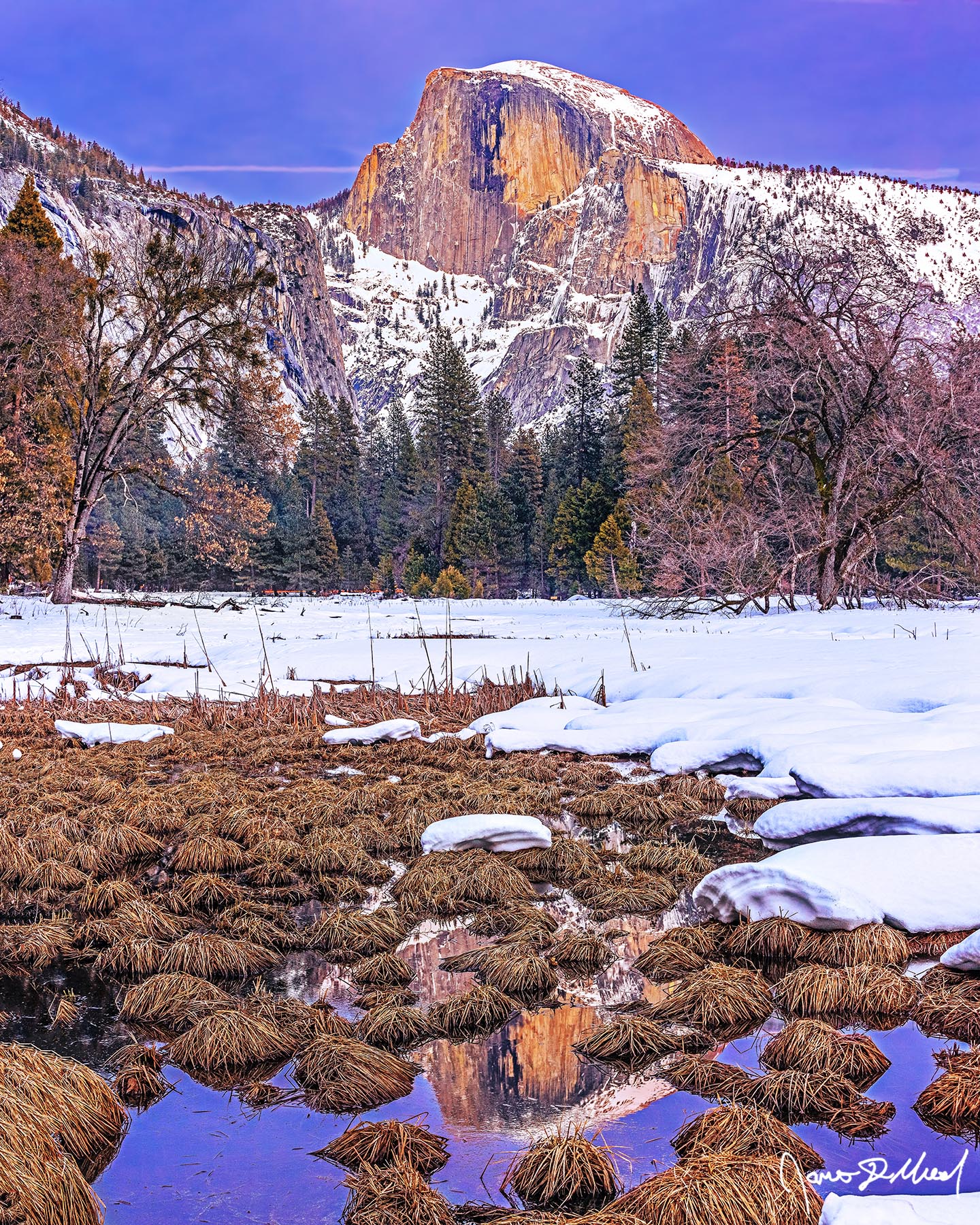 Valley Guardian Snow blankets Cook's Meadow and Yosemite Valley as Half Dome reflects in an ephemeral pond at sunset