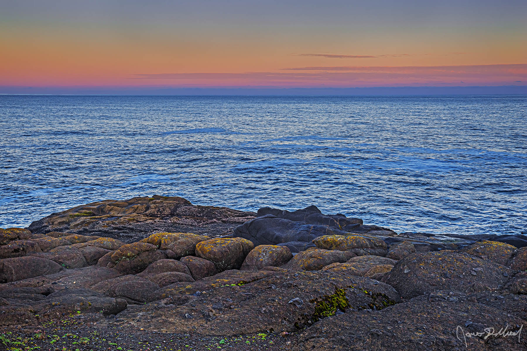 On The Rocks Sunrise brings the Belt of Venus to the skies over the Pacific Ocean as a lone Seagull stands at the edge of the headlands along the Oregon Coast.