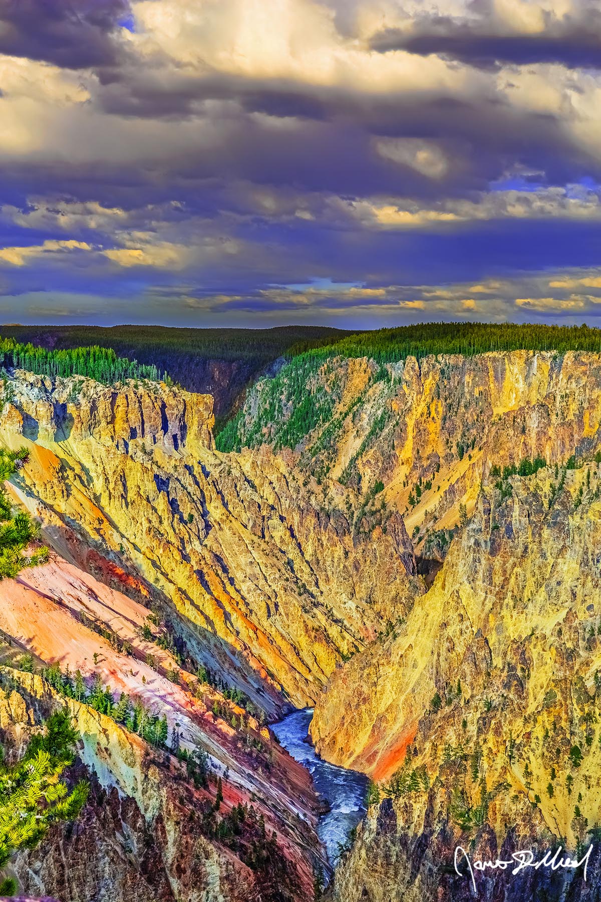 Beautiful Storm Sunset illuminates the storm clouds over the Grand Canyon of the Yellowstone in Yellowstone National Park during the late spring.