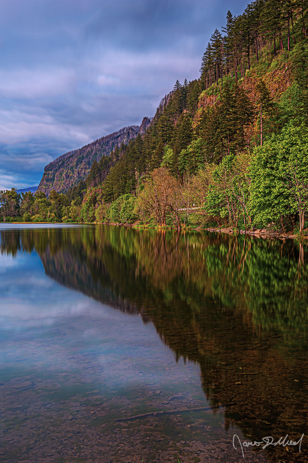Simple Life - Twilight Mirror Reflections on Benson Lake in the Columbia River Gorge, Oregon The soft blues of twilight set in as the trees reflect in the calm, clear waters of Benson Lake in the Columbia River Gorge.