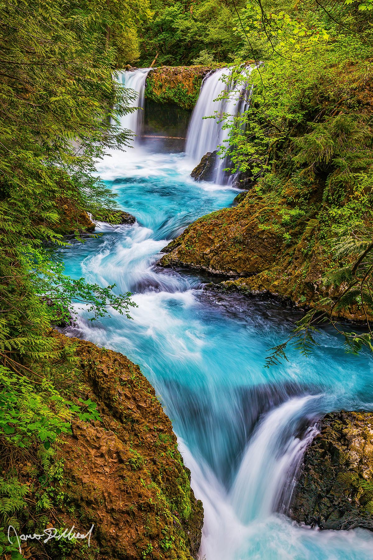 Liquid Turquoise - Spirit Falls and the Little White Salmon River, Columbia River Gorge, Washington Surrounded by trees hidden deep in the forest, turquoise water flows over the ledge into the pool and through the narrow channel of the canyon.