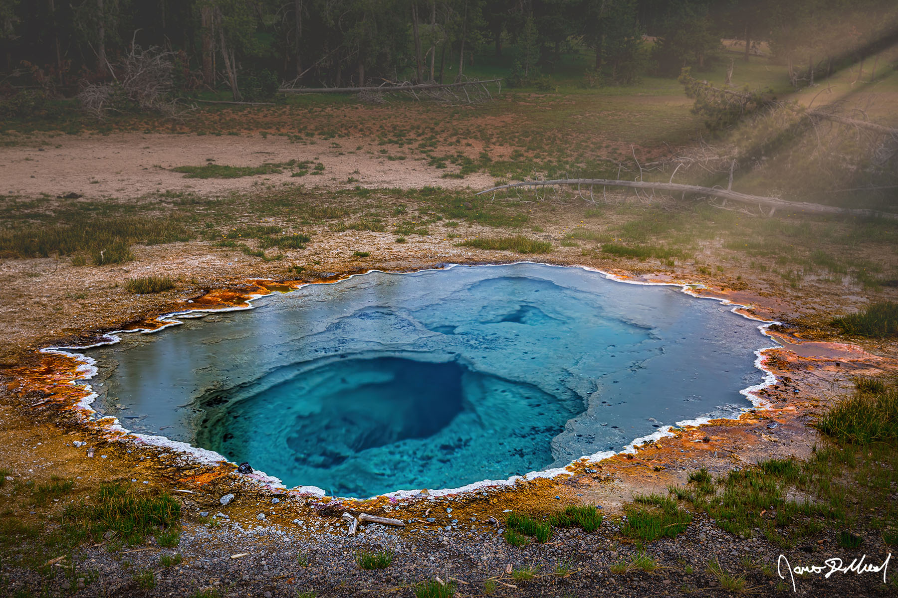 Enchanted Forever Rays of sunshine filter through the trees, fog and mist and onto the clear turquoise waters of Shield Spring in Upper Geyser Basin.