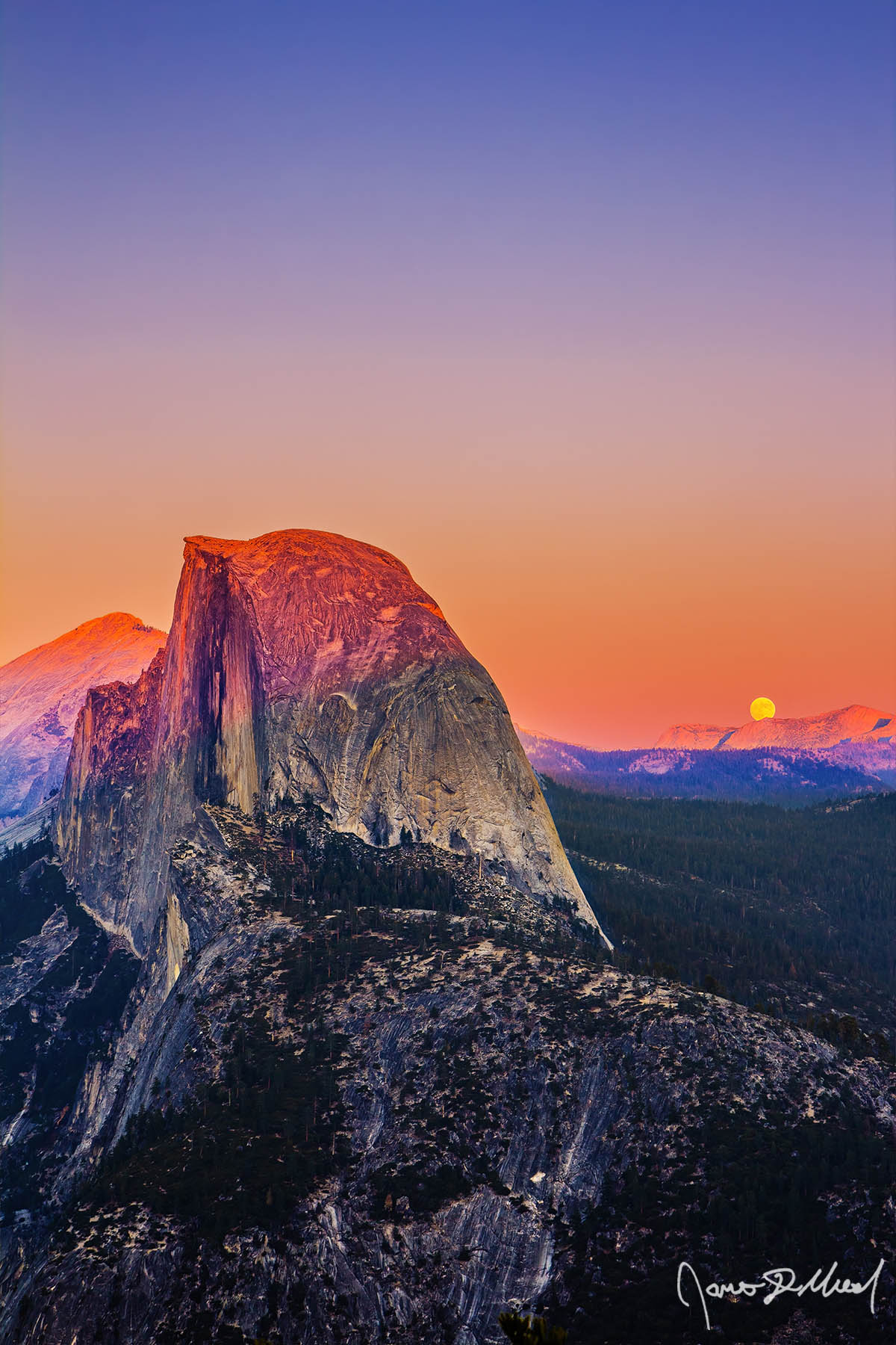 Reversal Alpenglow after sunset illuminates Half Dome and Clouds Rest in pink as the Full Moon begins to rise above the eastern horizon of the Yosemite high country.