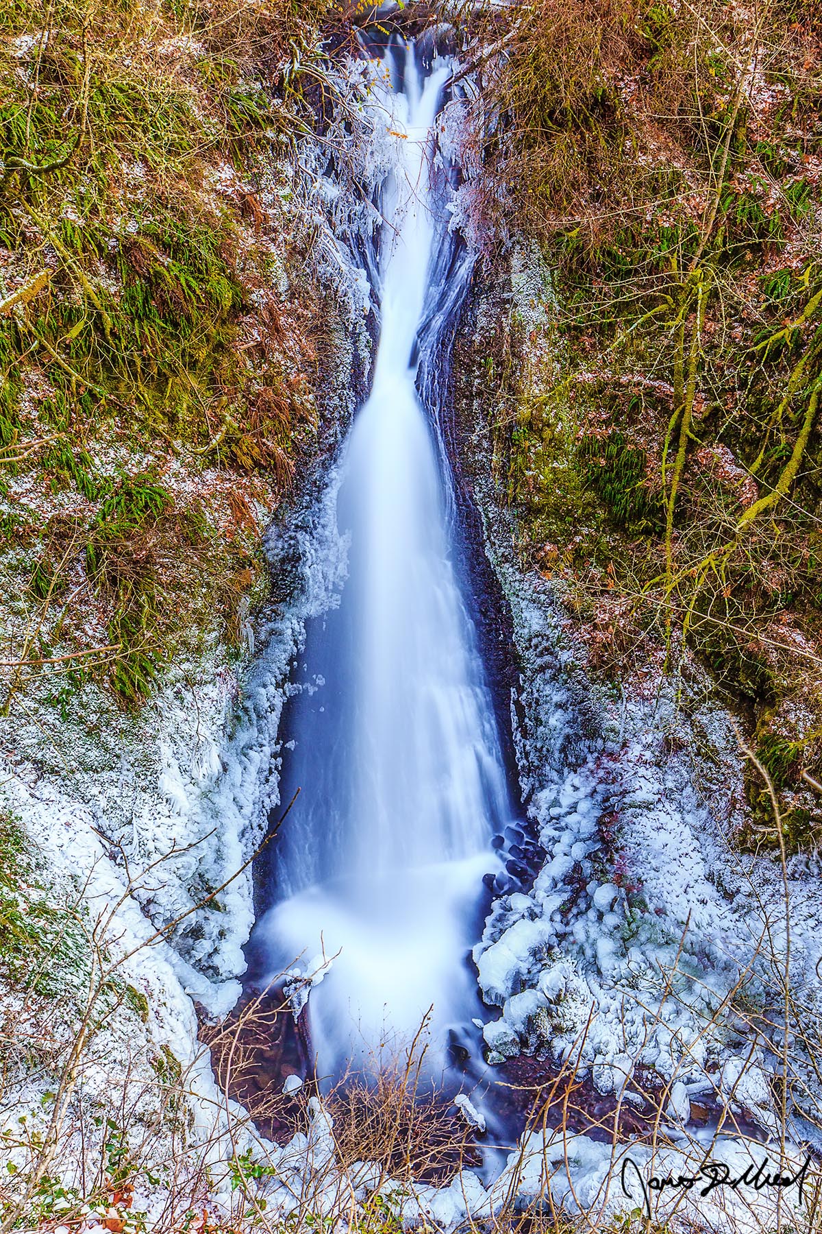 Falling Through the Brush - Ice at Shepperd's Dell Falls and Young Creek, Oregon ice clings to the cliffs in the Columbia River Gorge during a cold spell, as the lower tier of Shepperd's Dell Falls and Young Creek gracefully cascade down.